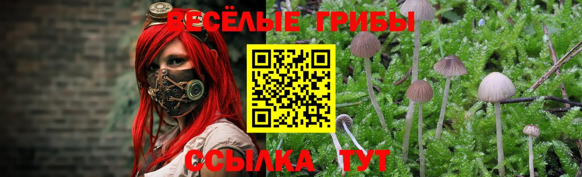 Галлюциногенные грибы прущие грибы Заводоуковск