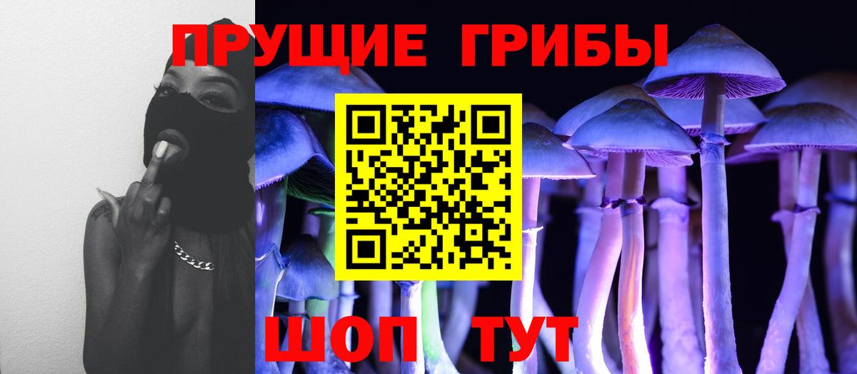 Галлюциногенные грибы ЛСД  Псилоцибиновые грибы Magic Shrooms  Заводоуковск  Вход с VPN 